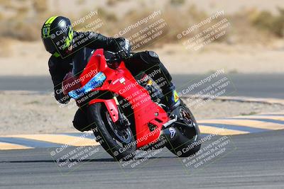 media/Mar-28-2022-Superbike Trackdays (Mon) [[b8603d0f67]]/Open Track Time/Turn 16/